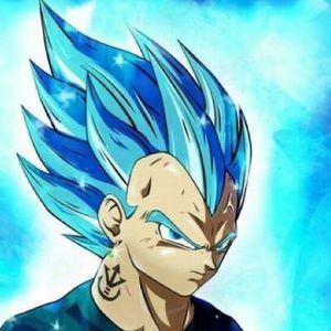 Meet your Posher, Alan